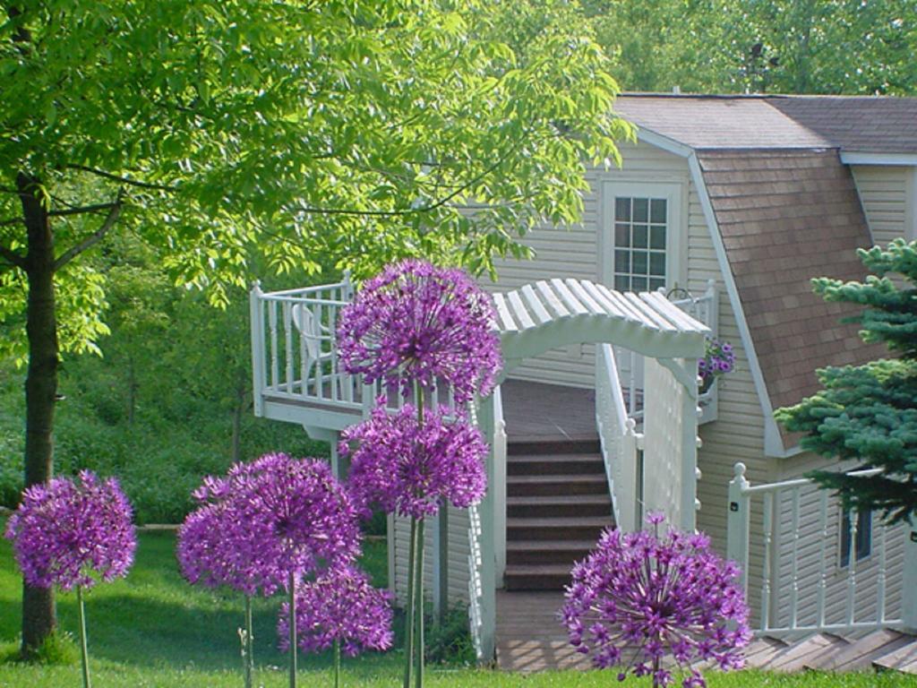 Villa Trickling Waters Retreat Marquette Exterior foto